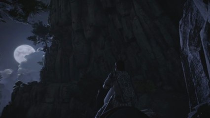 Puyo revit l'expérience Shadow of the Colossus sur PS4 [PGW 2017]