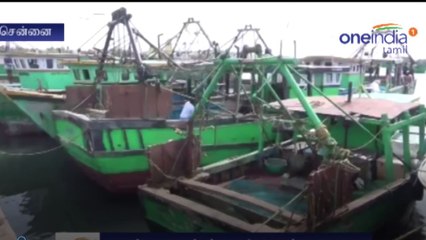 சென்னையில் தொடர்ந்து கொட்டி தீர்க்கும் மழை- வீடியோ