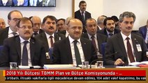 2018 Yılı Bütçesi TBMM Plan ve Bütçe Komisyonunda - Başbakan Yardımcısı Çavuşoğlu (1)