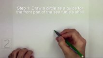 How to Draw a Green Sea Turtle