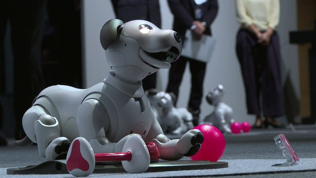 O novo cão robô da Sony