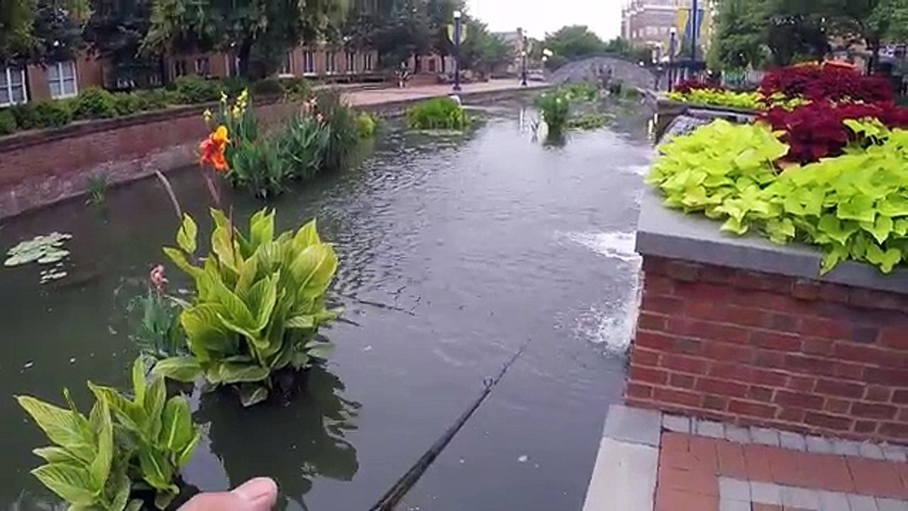 Fishing an URBAN Creek and Catching MYSTERIOUS Fish???