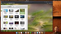 Checking out Linux mint cinnamon 18.1 serena