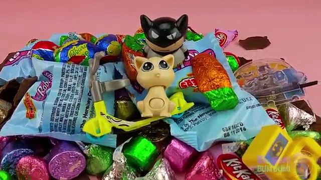 Learn Sizes with Surprise Eggs! Opening Kinder Surprise Egg and Mystery JUMBO HUGE Chocolate Eggs!