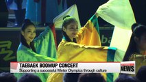 Taebaek Boomup concert celebrates countdown to PyeongChang 2018