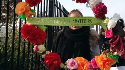 Quimperlé  |  Hommage Animaux morts Abattoirs | Bretagne Télé