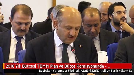 2018 Yılı Bütçesi TBMM Plan ve Bütçe Komisyonunda - Başbakan Yardımcısı Işık (2)