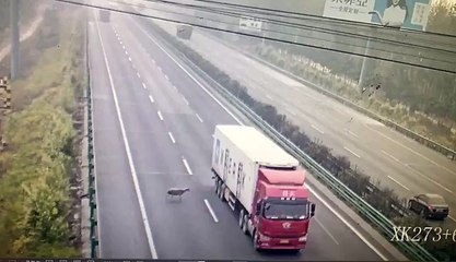 denjiures road accident live cctv futej haiwye accidant futej