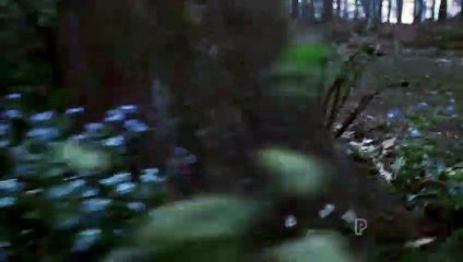 Emmerdale 1st November 2017