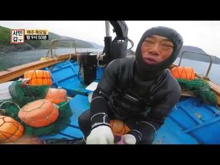 [선공개] 최강 귀요미 거제도 청일점 해남, 달마 씨!