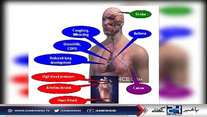 Causes, Effects and Solutions to Smog