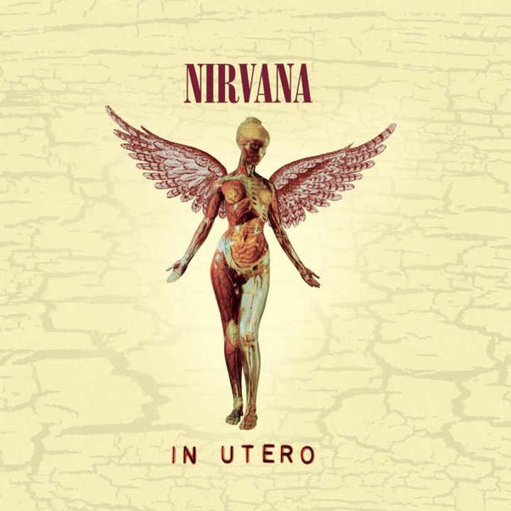 IN UTERO - Nirvana: VLOG / ANÁLISE COMPLETA DO CD