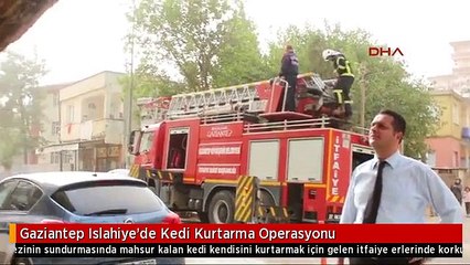 Gaziantep Islahiye'de Kedi Kurtarma Operasyonu