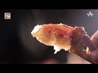 [선공개] 군침 도는 오동통~한 대게 먹방.avi (feat. 산속)