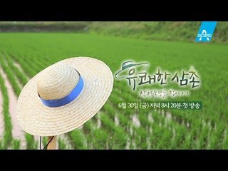 [티저] 좋은 식재료를 위한 농부들의 노력! 착한 농부를 찾아서_유쾌한 삼촌