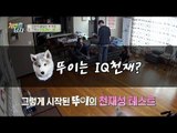 [뚜이 탐구] 천재설 실화네... 천재견 뚜이의 탄생 2편_개밥주는남자_170729