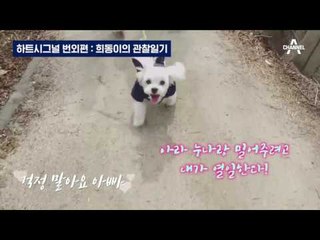 (하트시그널 번외편) 시그널하우스 입주견 희동이 관찰캠