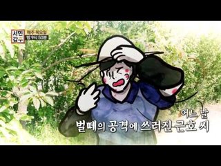 [선공개] 갑부, 벌 알레르기가 있다?!