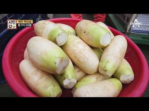 [서민갑부 선공개] 모자의 케미로 만드는 무김치