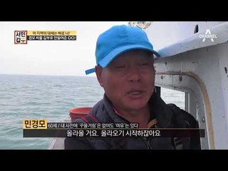 [서민갑부 선공개] 경모 씨를 갑부로 만들어 준 가을꽃게