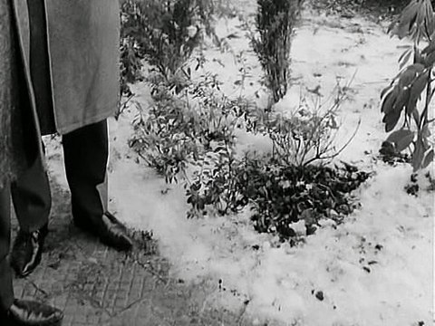 Die seltsamen Methoden des Franz Josef Wanninger E09 - Der Kanarienvogel