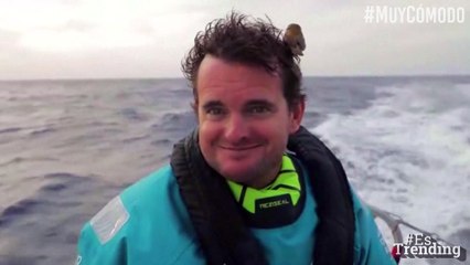 ¿El mejor sitio? No creerás el lugar que escogió este pajarito para descansar