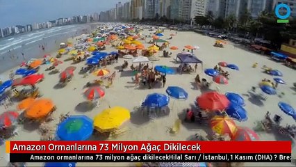 Amazon Ormanlarına 73 Milyon Ağaç Dikilecek