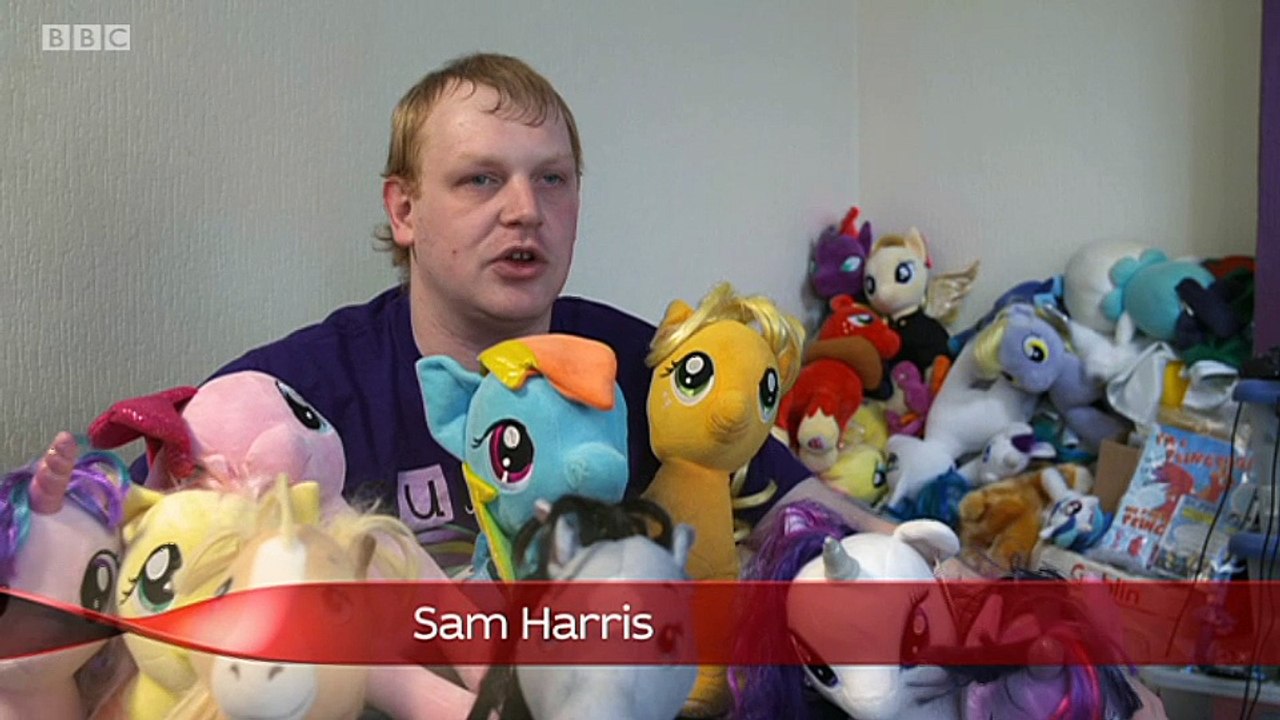 Bronies on bbc-news