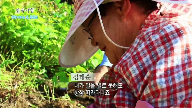 한국기행 - Korea travel_발길 머무는 섬 울릉도 2부 그곳에 당신이 있기에_#001