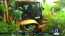 Video: Wildlife officials rescue Sri Lanka elephant trapped in well