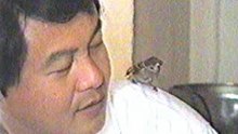 My good friend Wild Sparrow http://engfate.orgfree.com
