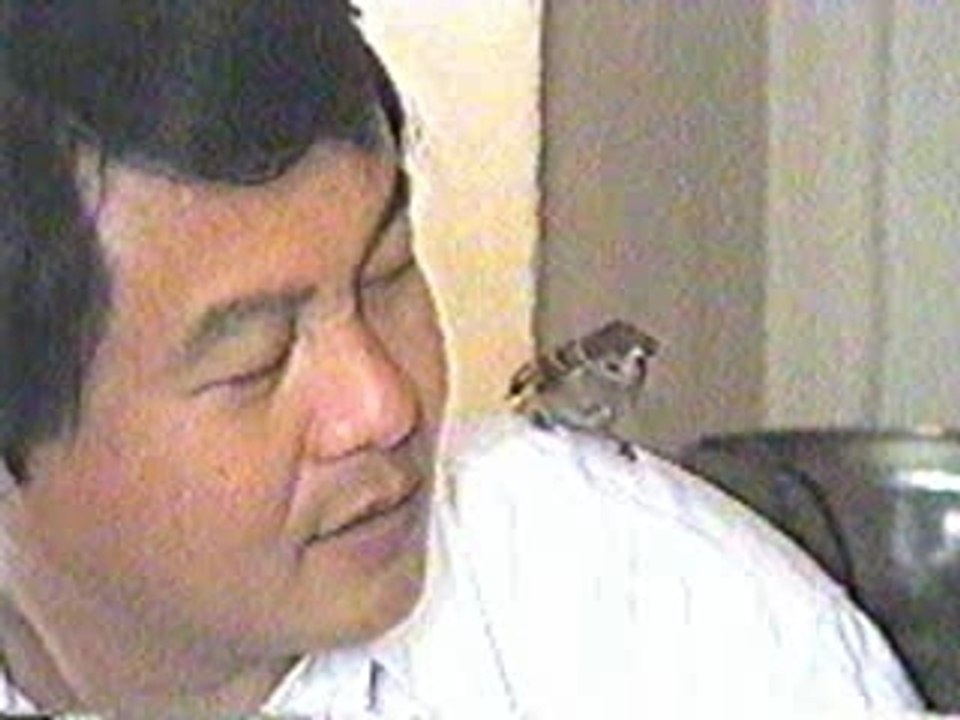 My good friend Wild Sparrow http://engfate.orgfree.com