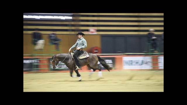 Equita Lyon, c'est parti !
