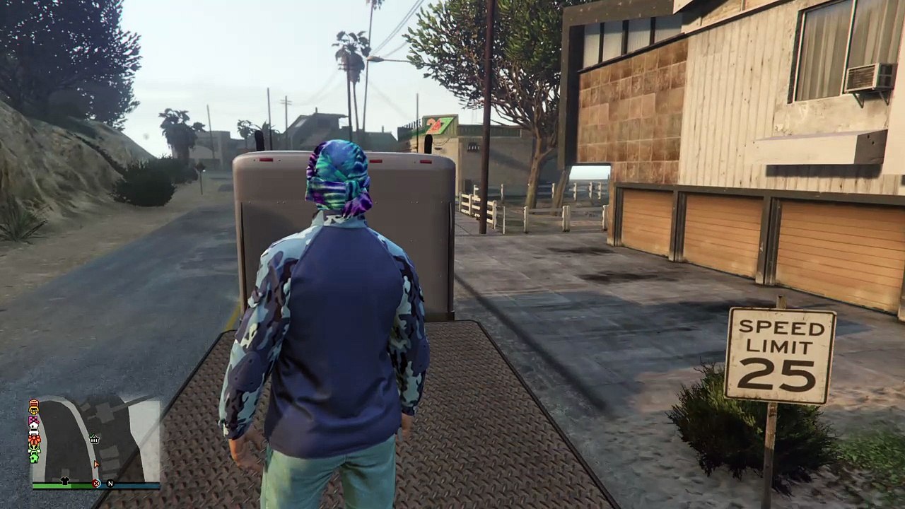 Grand Theft Auto V Wag1