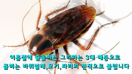 사람에게 발견 즉시 죽임을 당하는 돈벌레를 절대 죽이면 안되는 이유