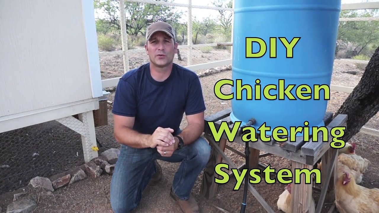 Chicken Watering: Tour and Install of my gravity fed system