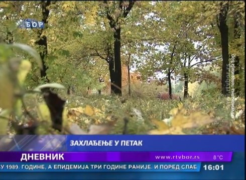 Dnevnik, 1. novembar 2017 (RTV Bor)
