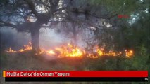 Muğla Datça'da Orman Yangını