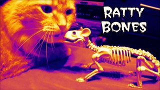 Ratty Bones! *I Smell A Rat!*