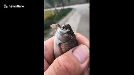 Fisherman catches fish with strange bird-shaped mouth