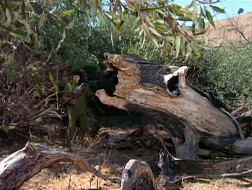 Planet der Affen  E10