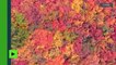 [Actualité] Découvrez toutes les couleurs de l’automne vues d’en haut