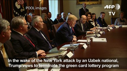 Trump says will terminate green card lottery program