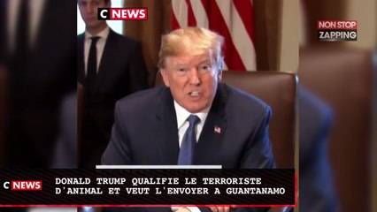Donald Trump qualifie le terroriste d'animal et veut l'envoyer à Guantanamo (vidéo)