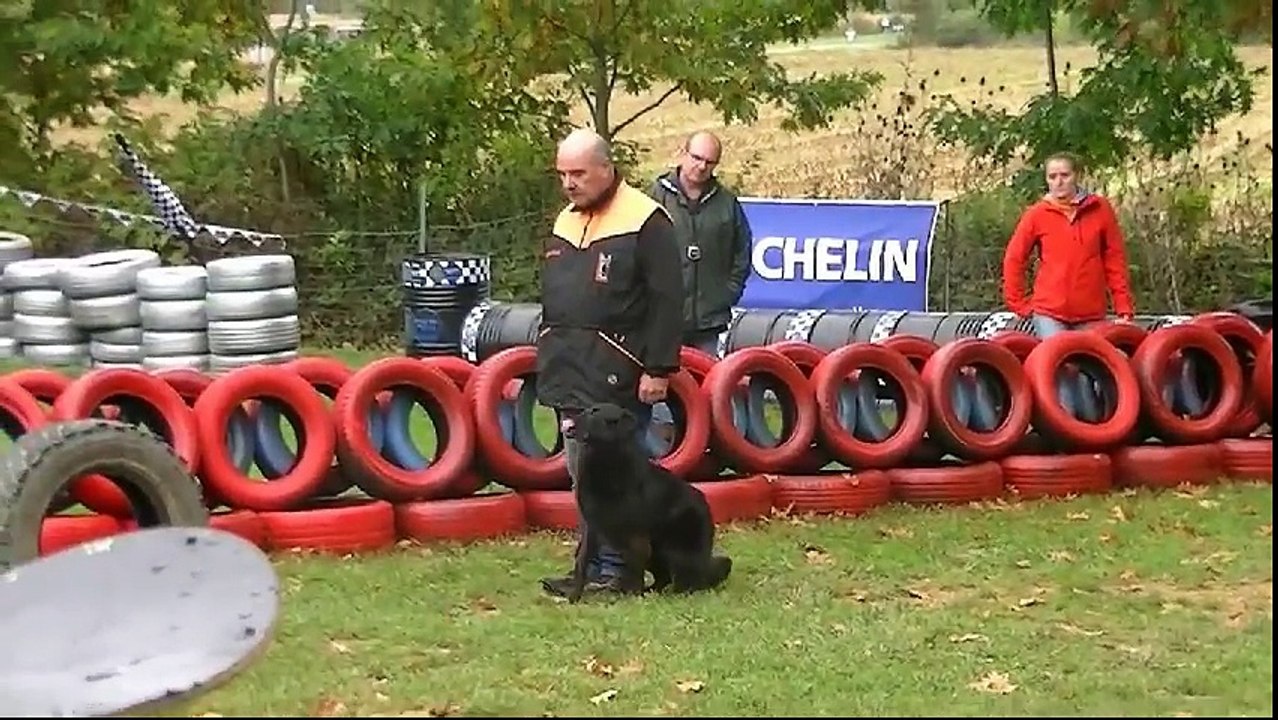 Eloisa Starbuck, Mondioring 1, Juillan 2017