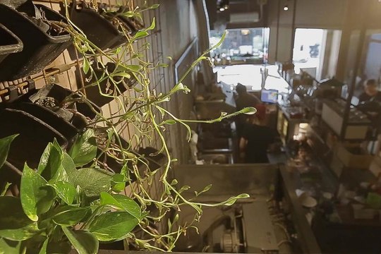 This is a Super Popular Vegetarian Option in Taipei