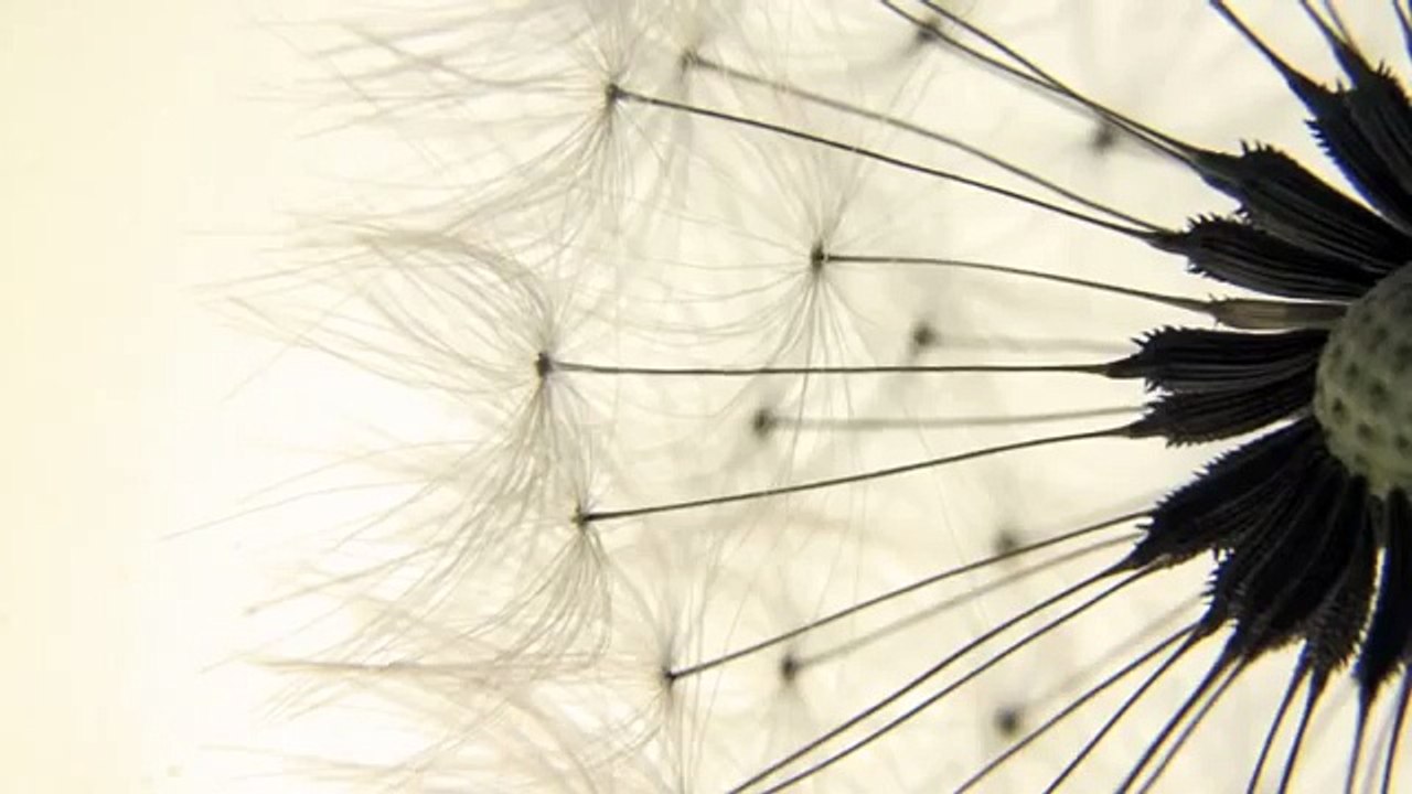 Relaxing Piano Music (part.7): Solo Piano Romantic Music, Best Piano Songs, Sad Music