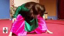 PAKISTANI NEW MUJRA 2017 ARZOO PYAR WALI KICH LEAKED DANCE STAGE HOT MUJRA 1080p