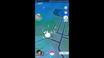 Pokémon GO Gym Battles 3 Gyms Igglybuff Holiday Pikachu Poliwrath Snorlax catching and more