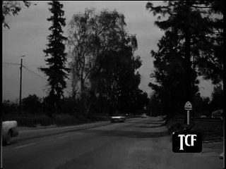 088. Highway Patrol E88  In Narcotics